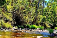 ADVENTURE_PeterAllan_Pineapple-Flat-VIC-High-Country