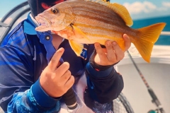 Fishing