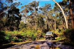 Rochelle-4wd