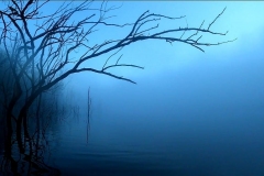 Jarrod-Hinze-dam