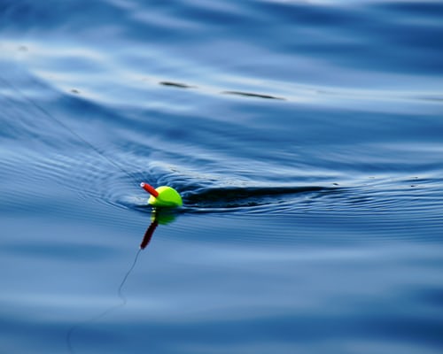 Positive mental health elements of fishing
